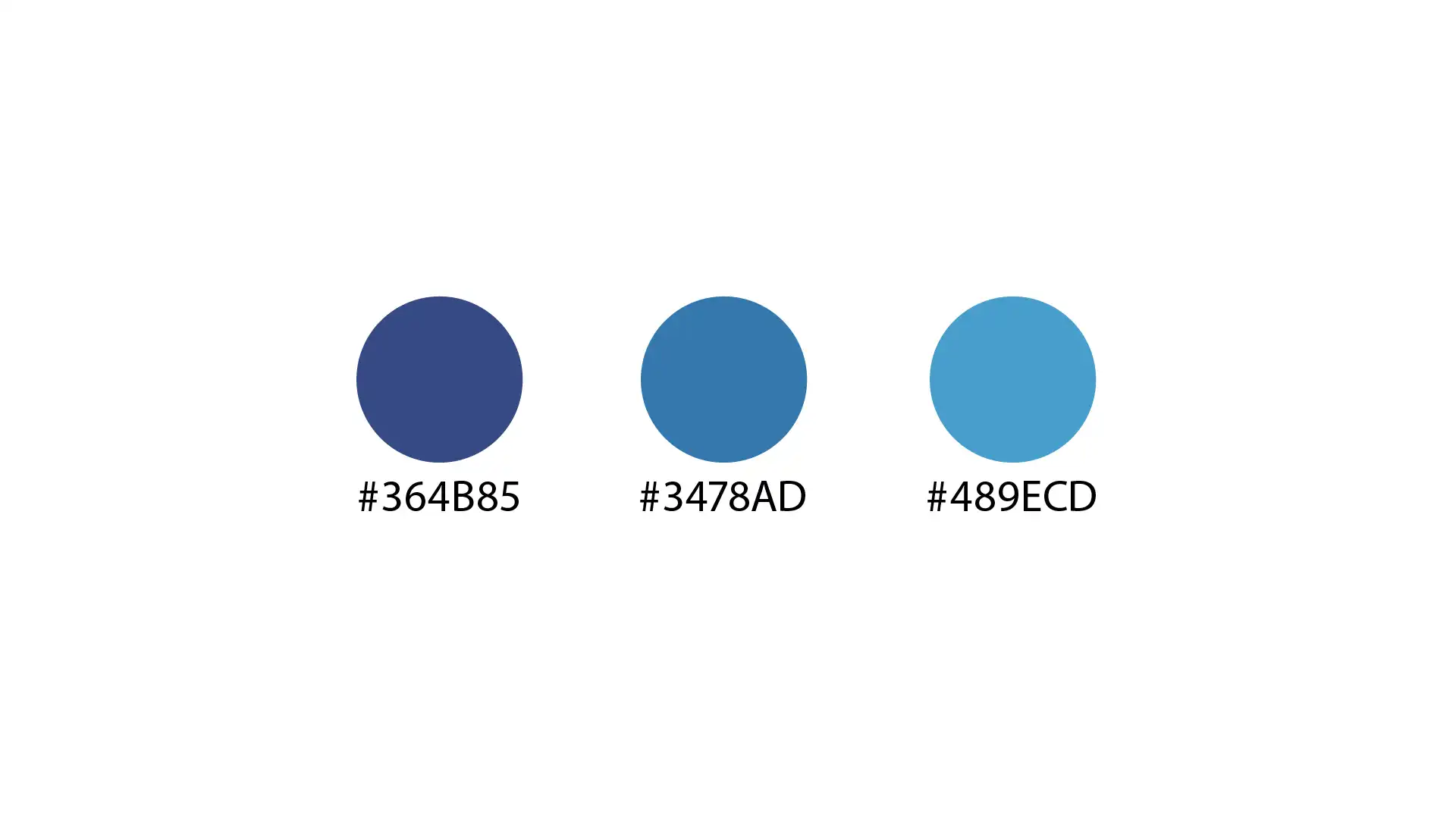 Χρωματική παλέτα branding Netakos - branding γραφίστας netakos